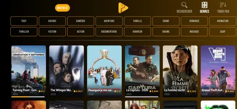 Catalogue MultiFlix de WIPLAY avec catégories, recherche et affiches de films.