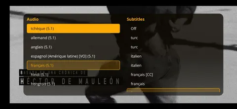 Sélection des pistes audio et des sous-titres pendant la lecture dans WIPLAY.